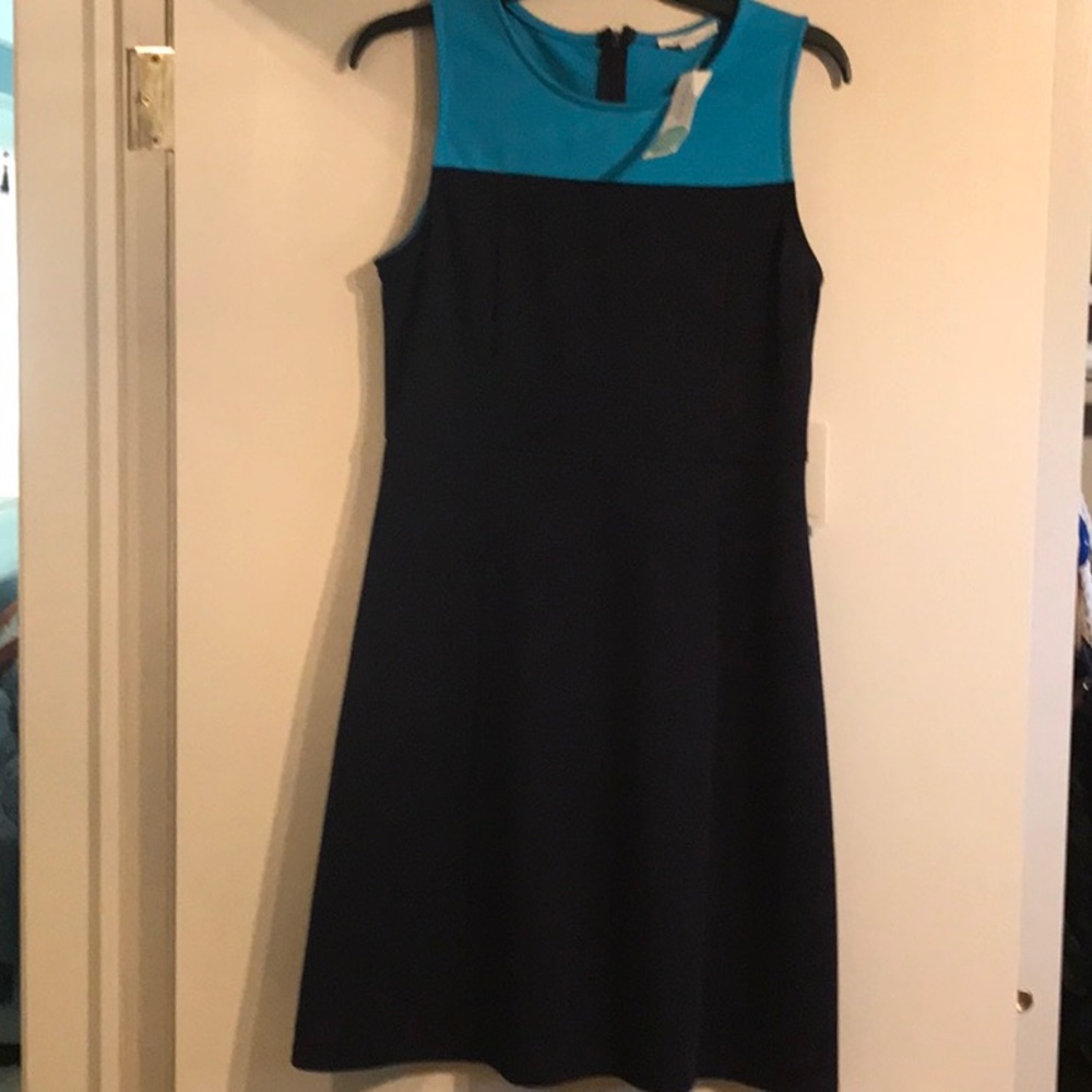 Colorblock Dress